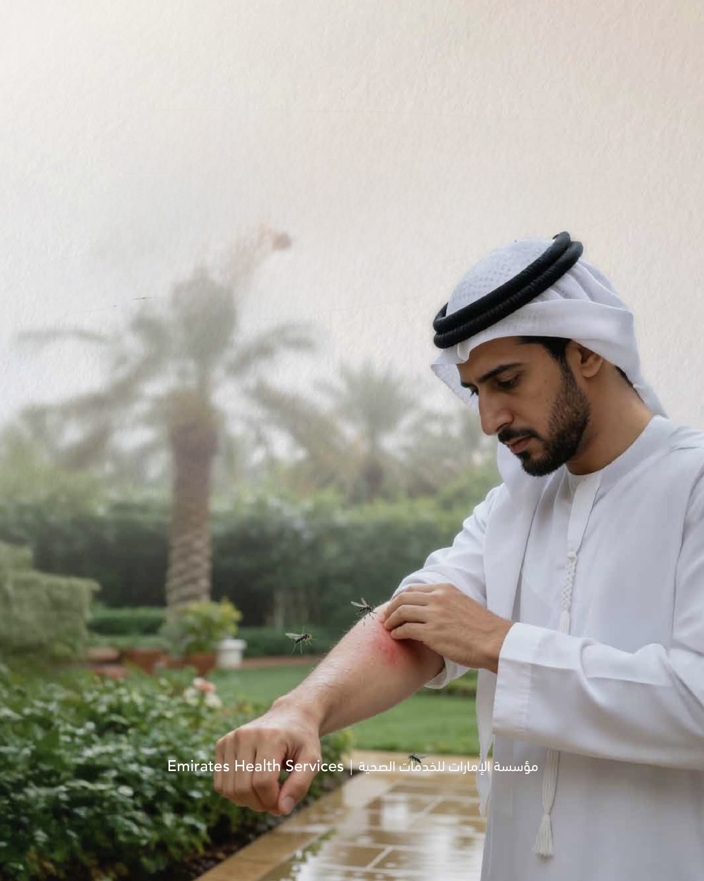 «الإمارات الصحية»: 7 إجراءات وإرشادات مهمة للحماية من البعوض بعد هطول الأمطار