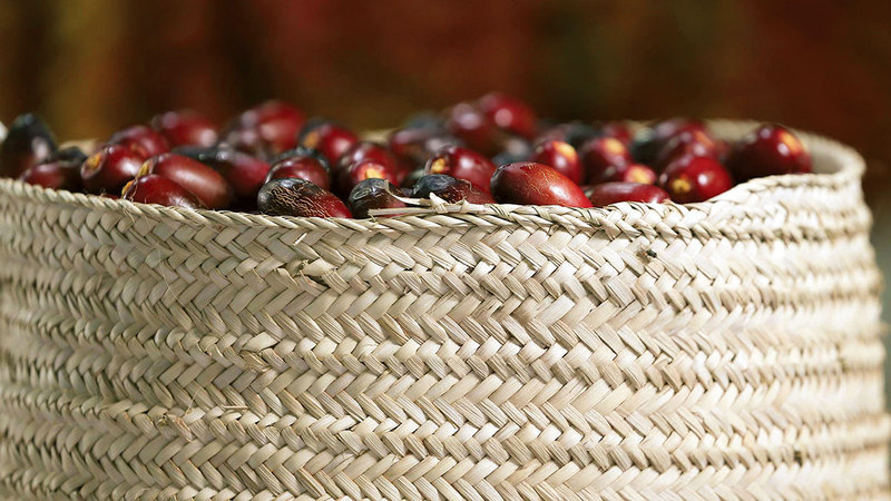 33 علامة تجارية لمنتجات التمور في أسواق الإمارات