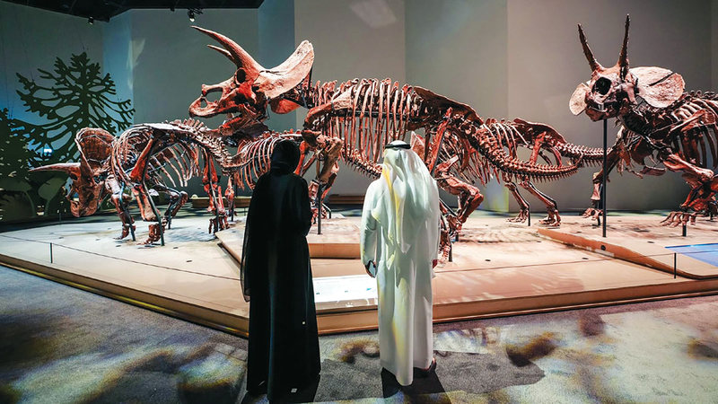 عجائب ولقطات مدهشة بمتحف التاريخ الطبيعي في أبوظبي